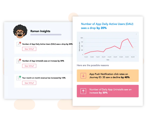 Raman - Insights - Dashboard - Netcore Cloud
